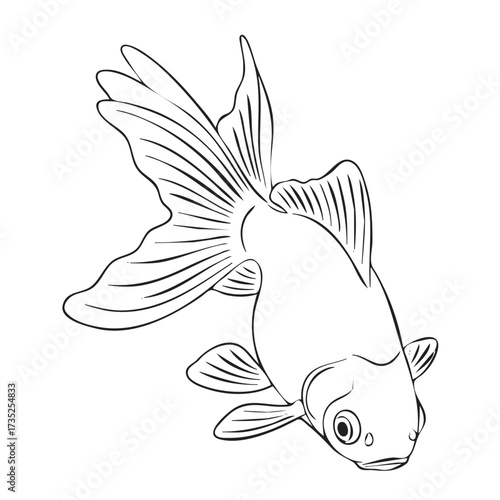Black Goldfish Line Art Illustration