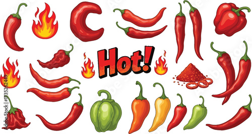 Spicy hot chili peppers vector illustration food ingredients vector