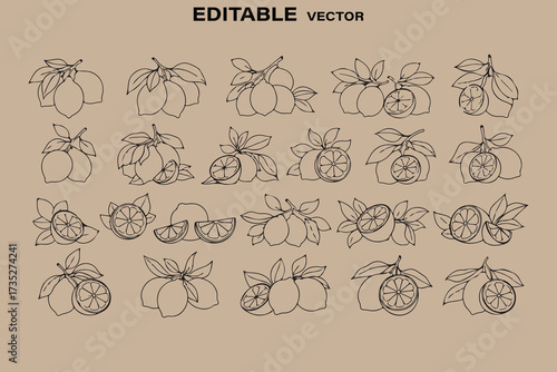 Hand drawn collection of various gift boxes and bows on kraft paper background