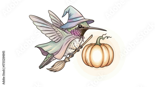 Whimsical Hummingbird Witch: A charming illustration features a hummingbird adorned as a witch, complete with a hat and cape, gracefully soaring with a broom and a pumpkin.