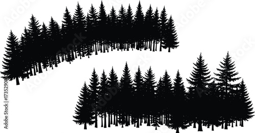 Dual pine tree silhouette clusters in vector forest layout with natural skyline, conifer shapes, black and white nature illustration design