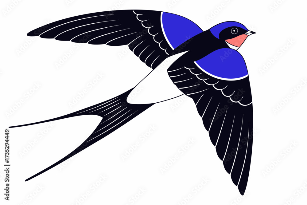 Obraz premium Barn swallow Austria national bird