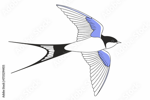 vector illustration of a flying bird