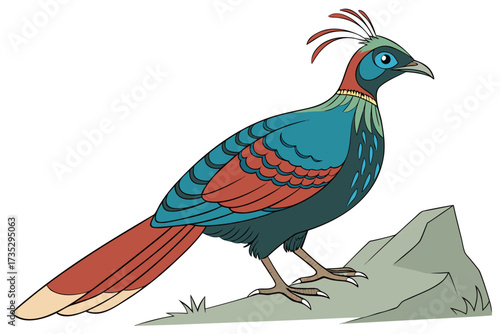 Himalayan monal nepal national bird