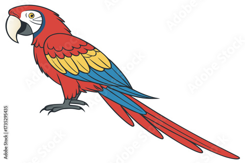 scarlet macaw parrot
