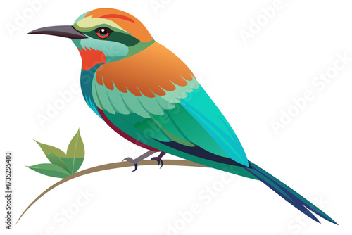 turquoise browed motmot bird on a branch