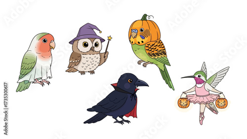 Halloween Birds: A delightful collection of whimsical birds in costume, celebrating Halloween with charm and creativity. The illustration showcases the beauty of nature.