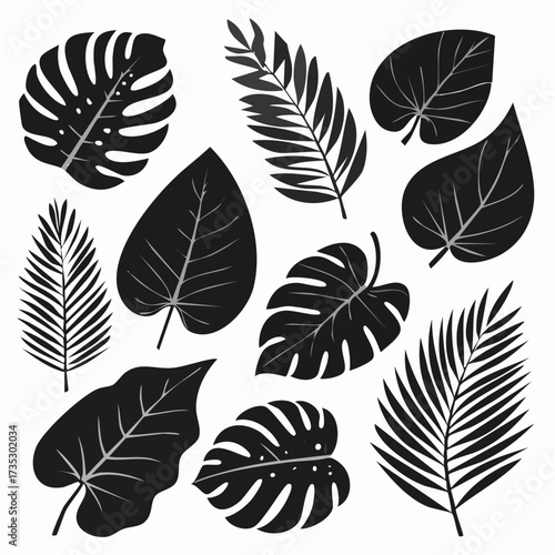 Tropical leaf silhouette black and white collection
3