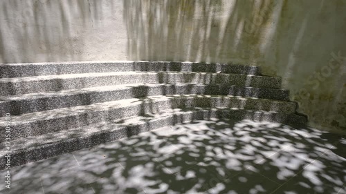 Tranquil stone steps shadowed patterns of leaves, evoking a serene and dynamic atmosphere.
