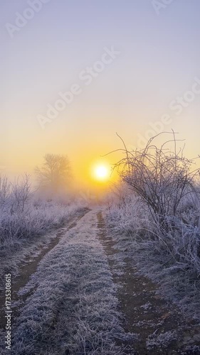Wallpaper Mural Frosty grass in snowy, cold weather in sunny morning. Tranquil winter nature in sunlight. A calm, frozen winter scene. Winter wonderland. Amazing nature background. Sunrise in winter Torontodigital.ca