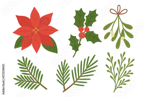 Christmas floral set of design elements. Poinsettia, holly, pine tree branch, mistletoe bunch. Winter plants and flowers. Vector flat illustration. Botanical holiday collection.