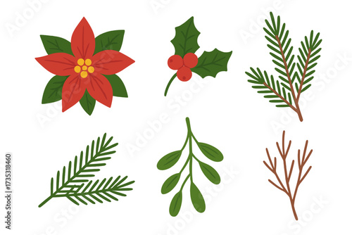Christmas floral set of design elements. Poinsettia, holly, pine tree branches, mistletoe, winter plants. Vector flat illustration. Holiday decoration, greeting card graphic.