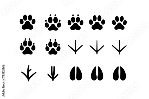Vector illustration set of animal paw and bird tracks, wildlife footprint icons, black silhouettes on transparent background, assorted mammal and bird footprints collection, hunting and nature signs