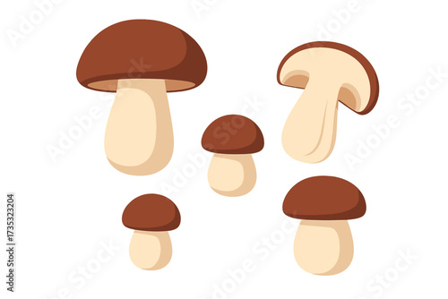 Porcini mushroom vector set. Big and small Boletus edulis, whole and cut in half. Edible king bolete collection for gourmet cooking. Botanical flat food design elements isolated.
