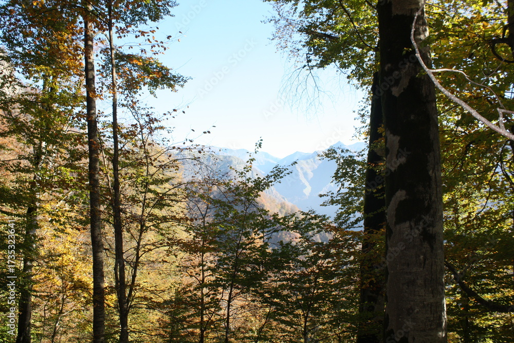 Fototapeta premium Golden autumn of the Caucasus Mountains