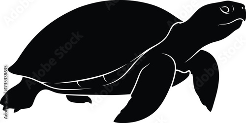 Adobe Illustrator Artwork silhouette of tortoise isolated on white background