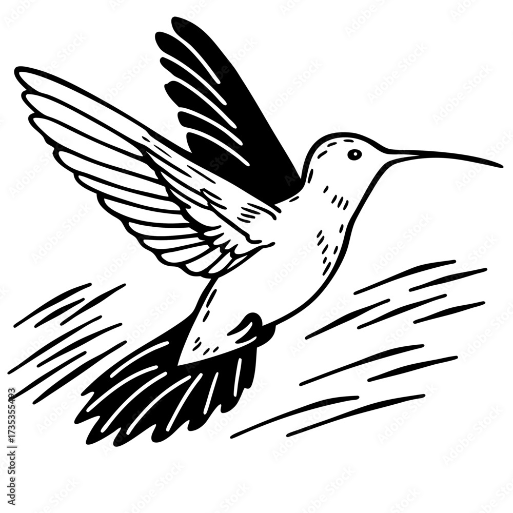 Fototapeta premium Hummingbird flying in mid-air with detailed wing patterns 