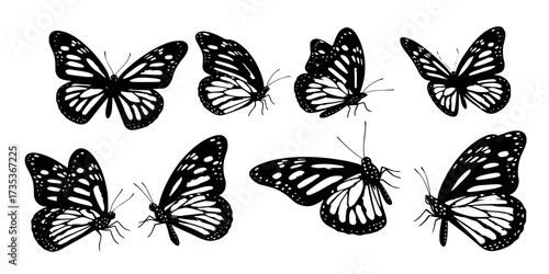 Monarch butterflies set. Vector illustration isolated on white background
