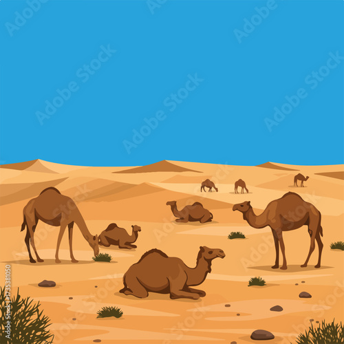 Group of Brown Camels in a Desert Landscape Some Standing Some Resting.