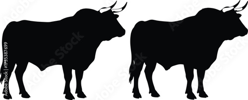 Silhouette, bull, animal, livestock, cattle, horns, power, strength, farm, agriculture, ranch, mammal, muscular, black, symbol, nature, wildlife, domestic, rural, graphic, illustration