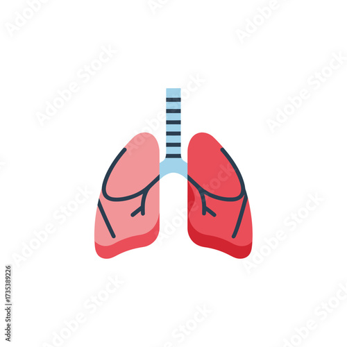 Illustration of human lungs, showing the trachea and bronchi, in a simplified, graphic style.