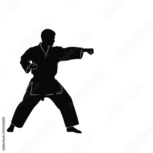 silhouette of a karateka performing a punch