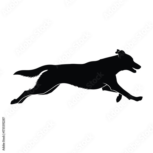 silhouette of a dog running
