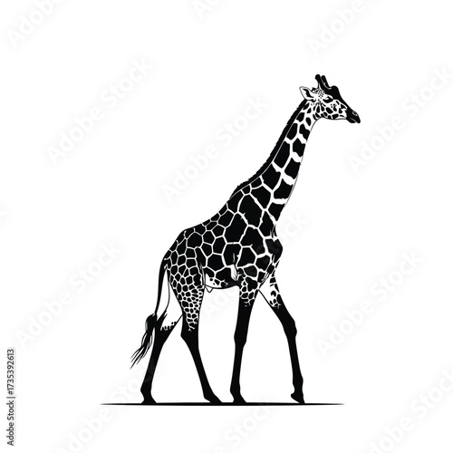 black and white illustration of a giraffe walking