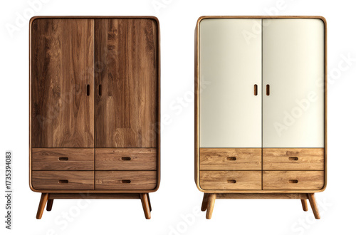 Elegant Wooden Wardrobe with Two Doors and Stylish Design in Modern Interior