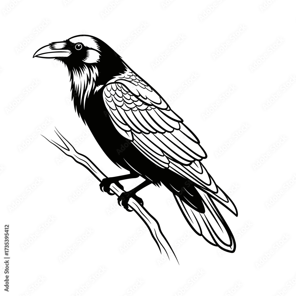 Fototapeta premium Black crow sitting on a branch in detailed line art style 