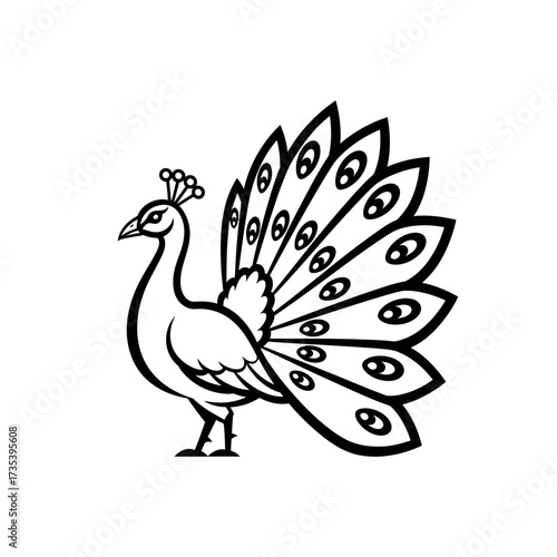 Elegant peacock illustration with detailed feather patterns in black  