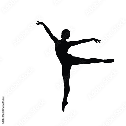 ballerina in graceful pose