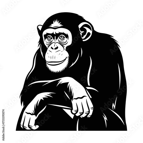 Black and white illustration of a sitting chimpanzee with thoughtful expression  