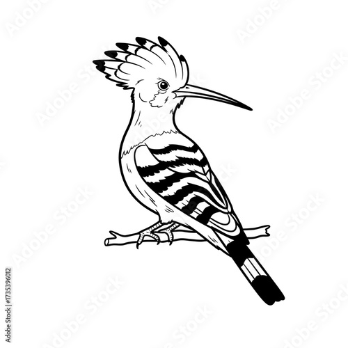 Stylized hoopoe bird sitting on a branch in black and white  