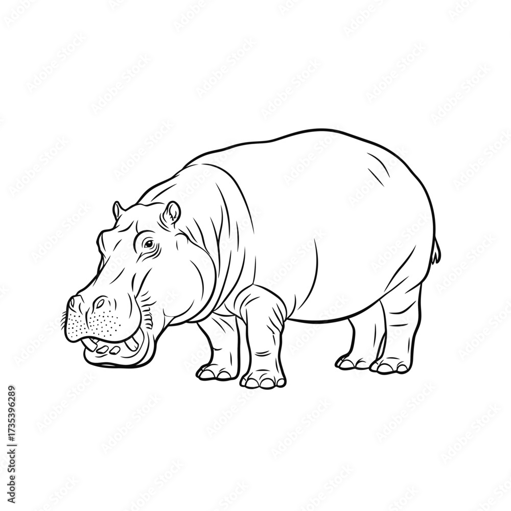 Obraz premium Outline drawing of a hippopotamus standing on a white background