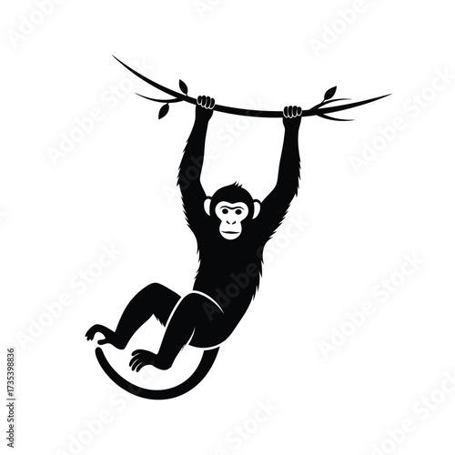 silhouette of a monkey hanging from a branch