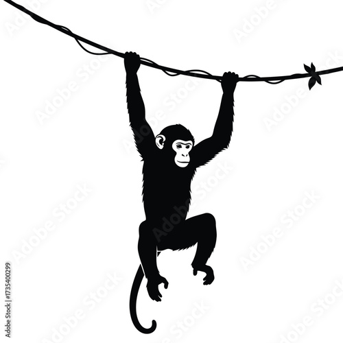 silhouette of a monkey hanging on a vine