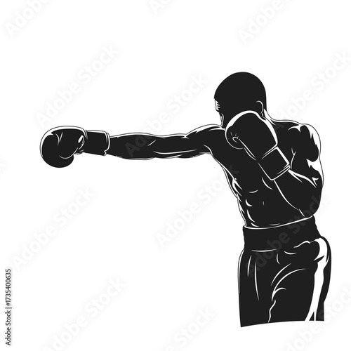 silhouette of a boxer throwing a punch