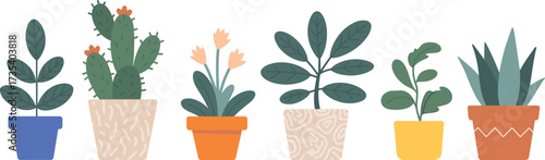 Flat illustration of indoor potted plants, minimalist houseplant decor, succulent, cactus, flower pots, greenery vector, modern home style