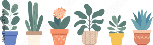 Flat illustration of indoor potted plants, minimalist houseplant decor, succulent, cactus, flower pots, greenery vector, modern home style