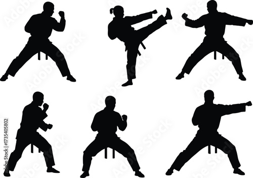 Silhouette martial arts poses, karate kick, taekwondo punch, defensive stance, martial training,