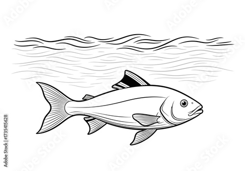 A fish swims in the water, a simple black white line drawing for use in coloring books