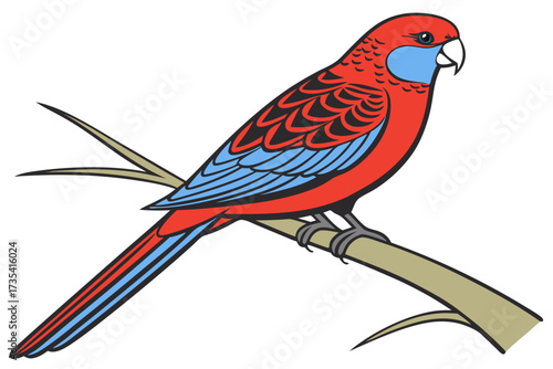 vector illustration of a crimson rosella bird