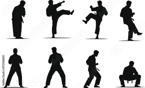 Silhouette martial arts poses, karate kick, defensive stance, martial training, combat sport, self