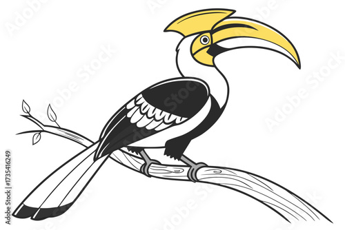 illustration of a great hornbill bird