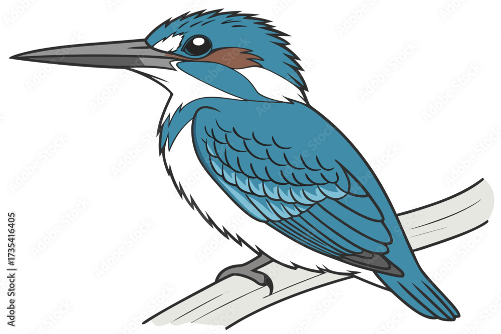 Obraz premium blue kingfisher bird