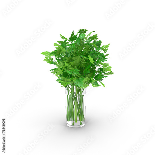parsley leaves in glass isolated against transparent background, PNG