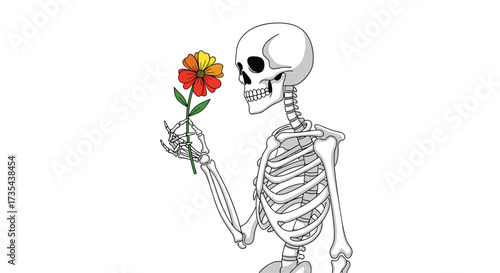 Skeleton holding a vibrant flower with detailed bone structure, Generative AI.