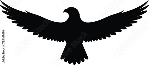 Adobe Illustrator Artwork Bird of Prey Silhouette with Spread Wings in Frontal View on White Background