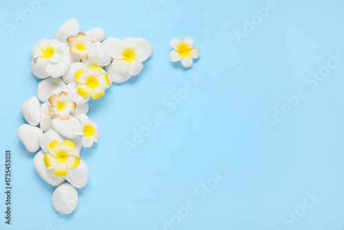 Beautiful plumeria flowers ...
